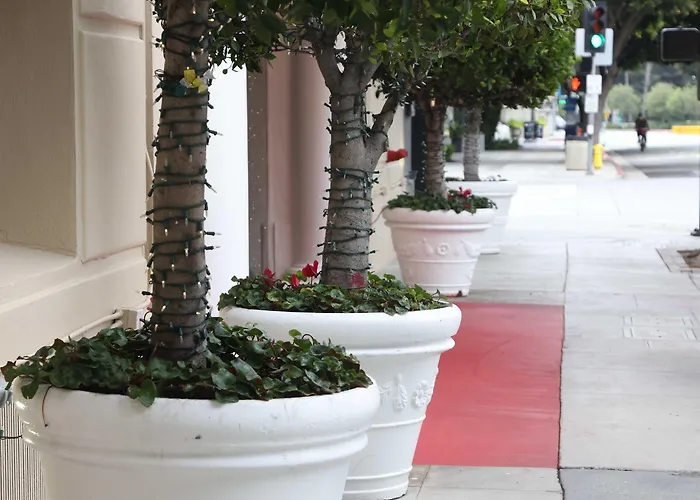 Hotel adatto agli animali: Hotel Carmel Santa Monica